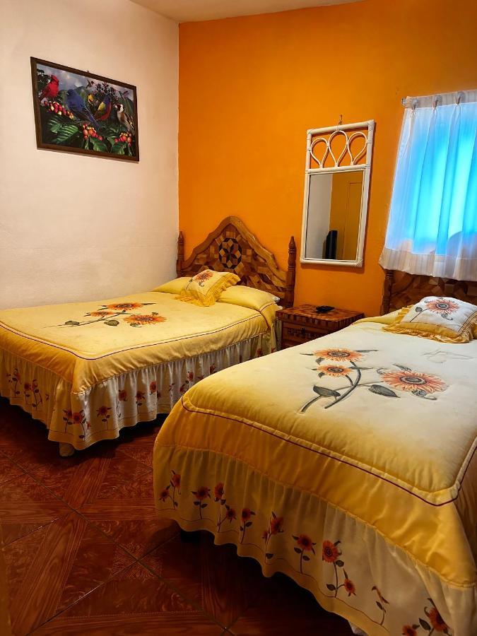 Bungalows Andrea تيبوزتلان المظهر الخارجي الصورة